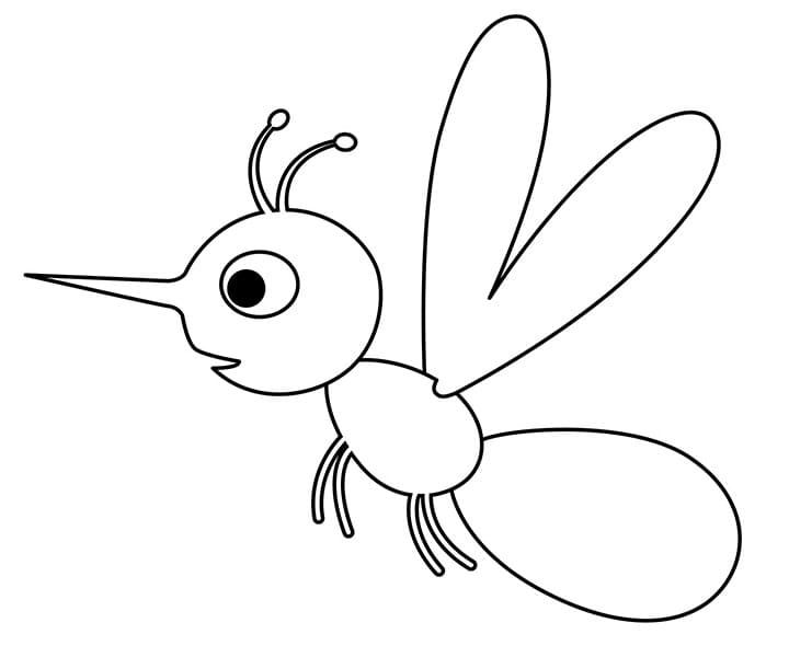 Lovely Mosquito Coloring Page
