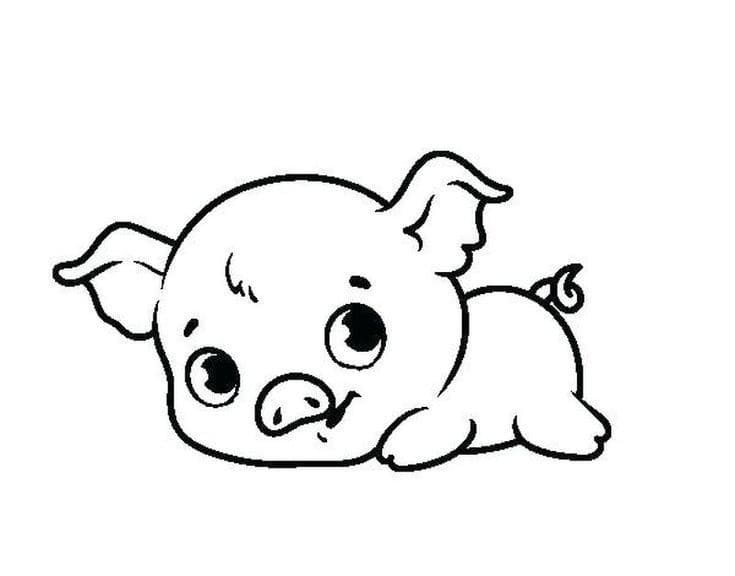 Lovely Pig Coloring Page