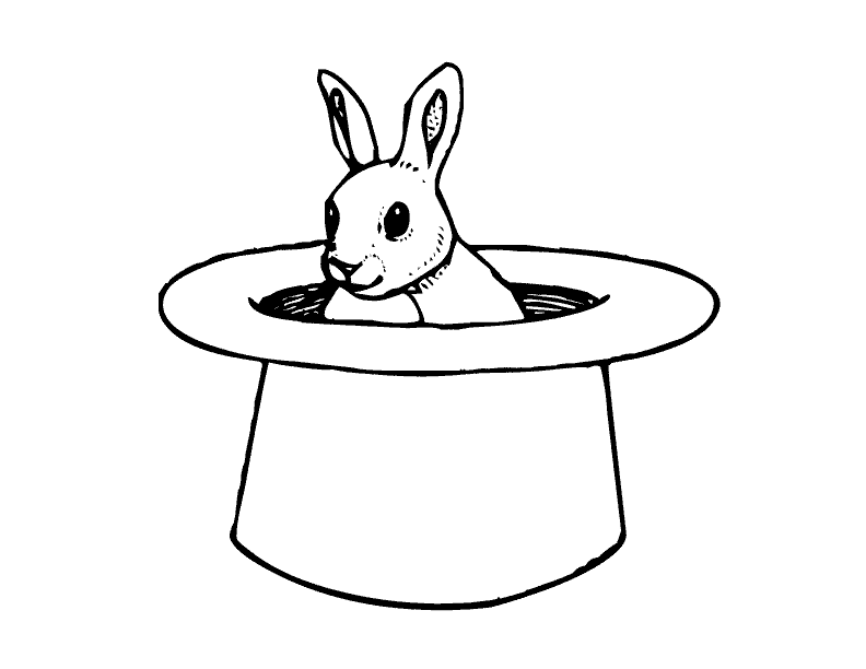 Magic Rabbit In A Hat