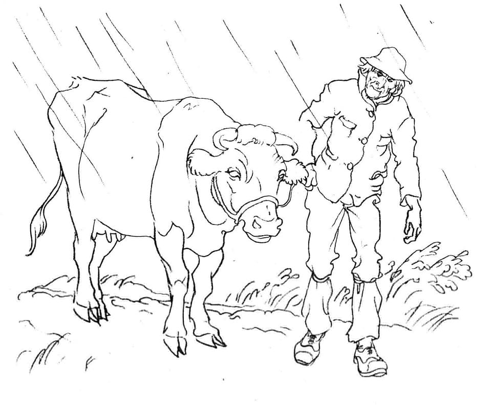Man and A Cow Coloring Page