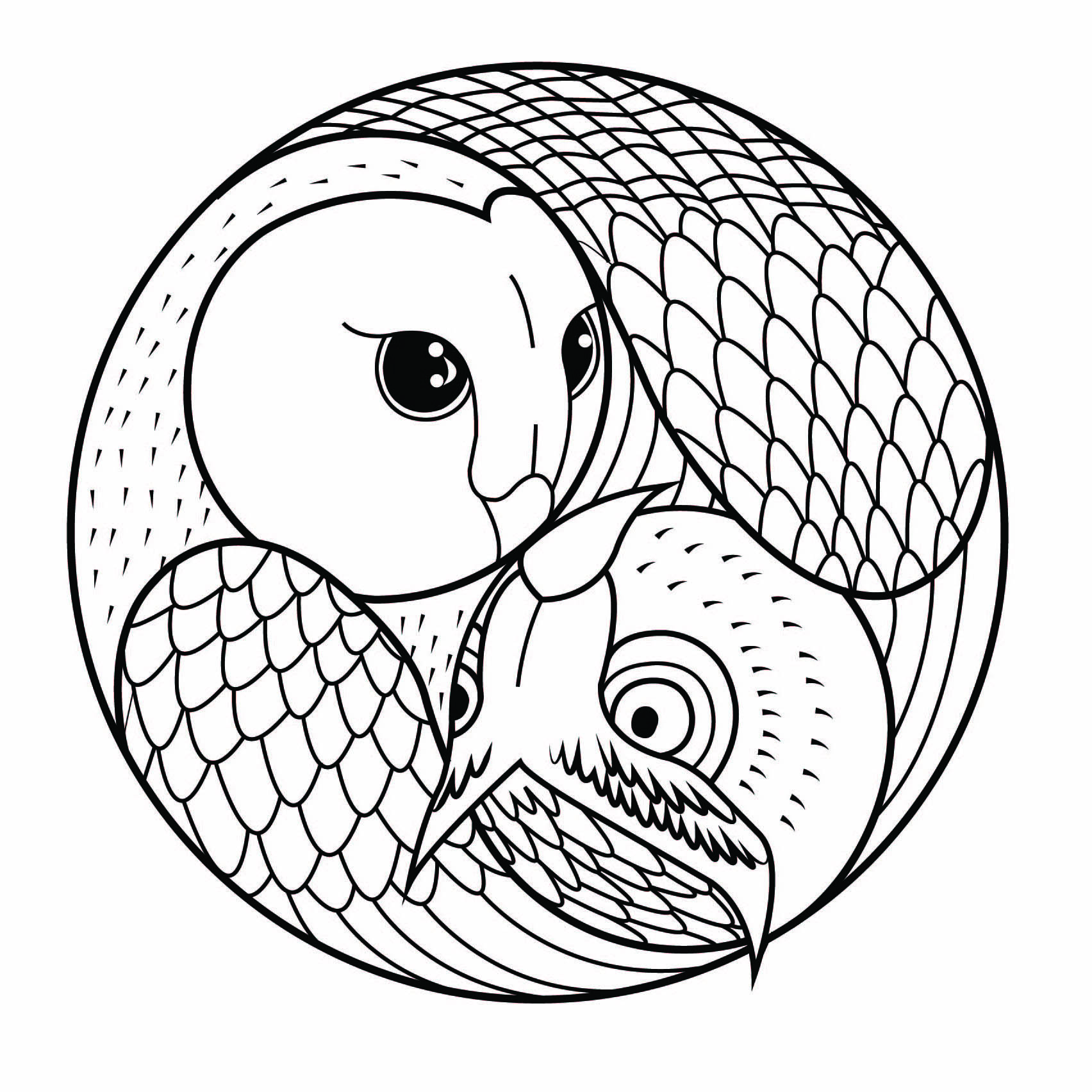 Mandala Simple With 2 Owls