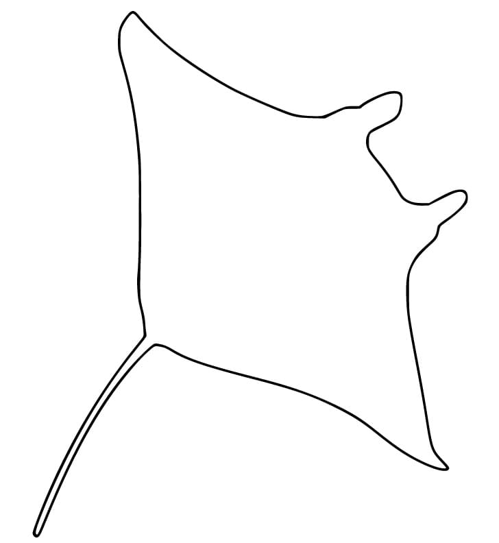 Manta Ray Outline