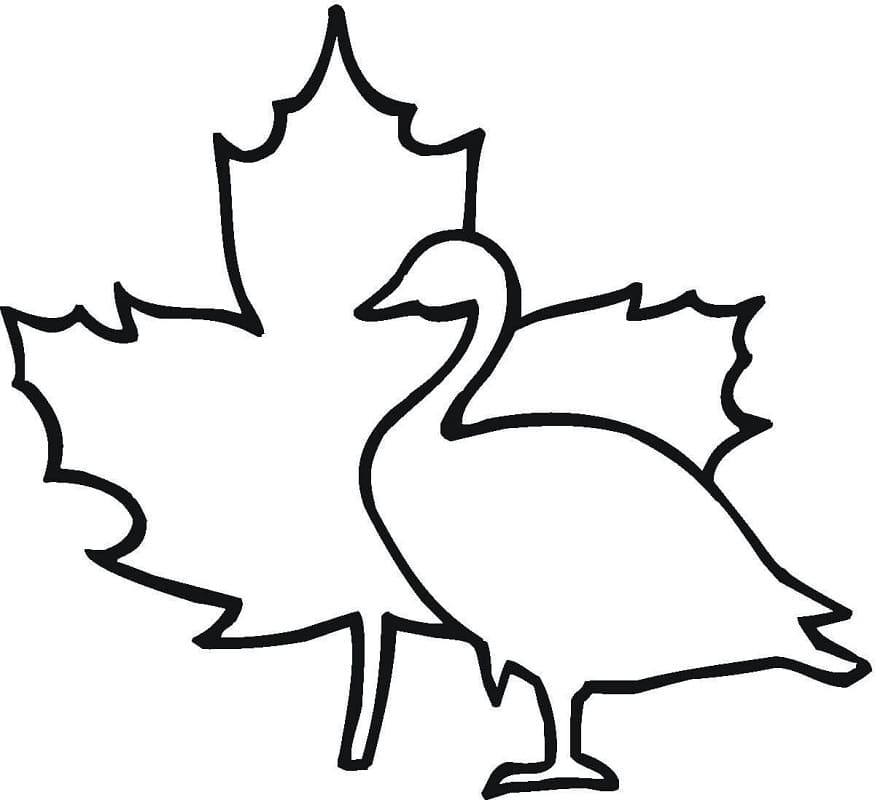 Maple Leaf And Goose