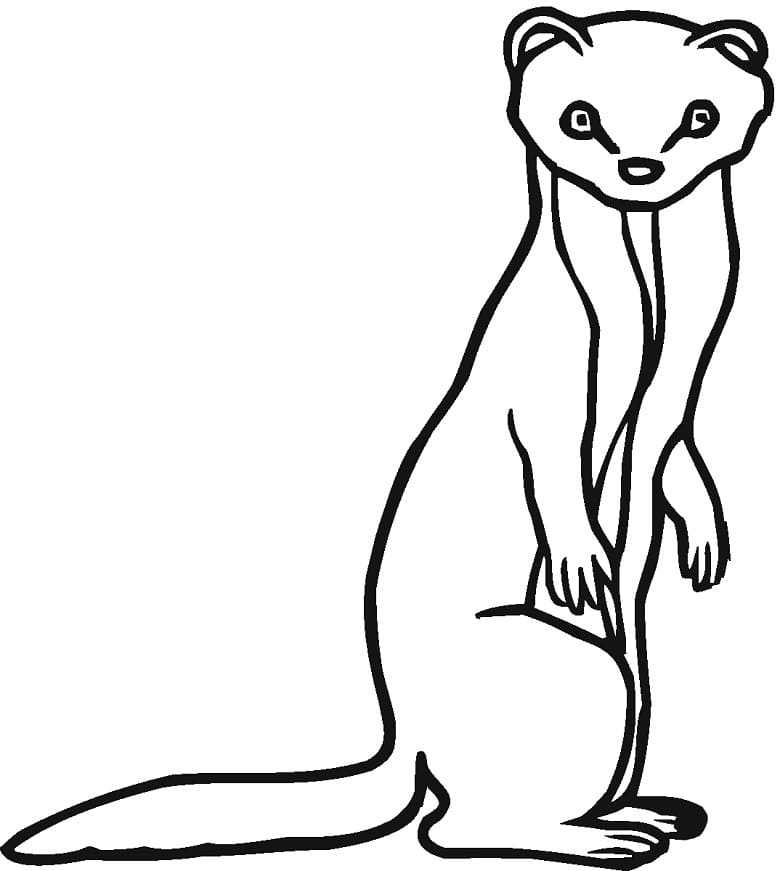 Marten Standing Coloring Page