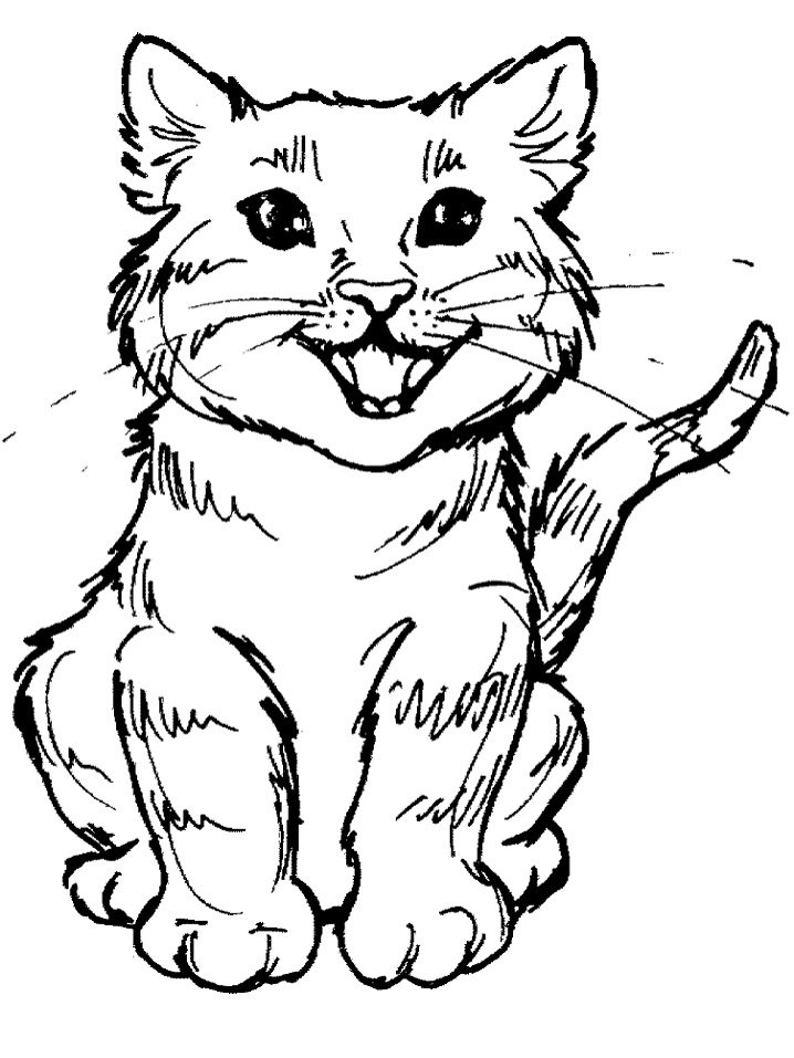 Meowing Kitten Coloring Page