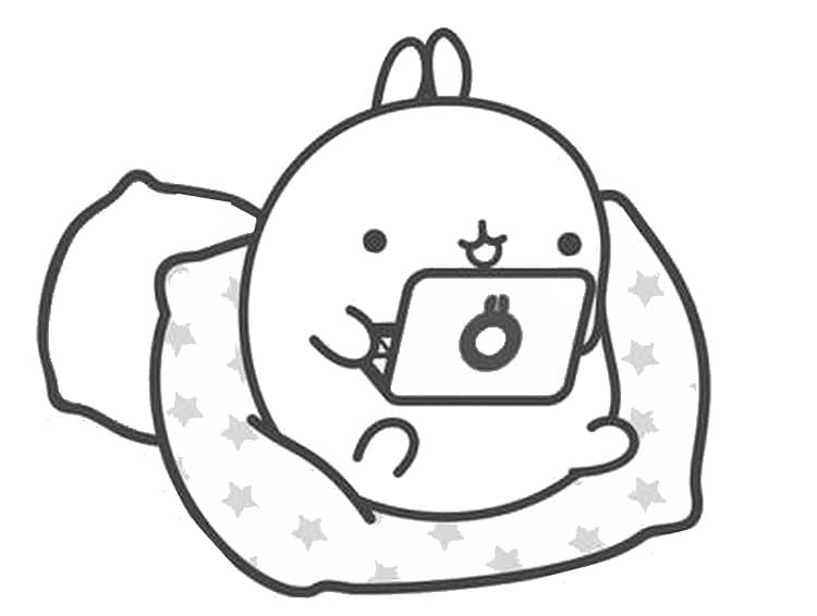 Molang with Laptop