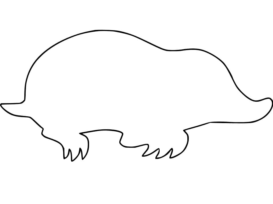 Mole Outline
