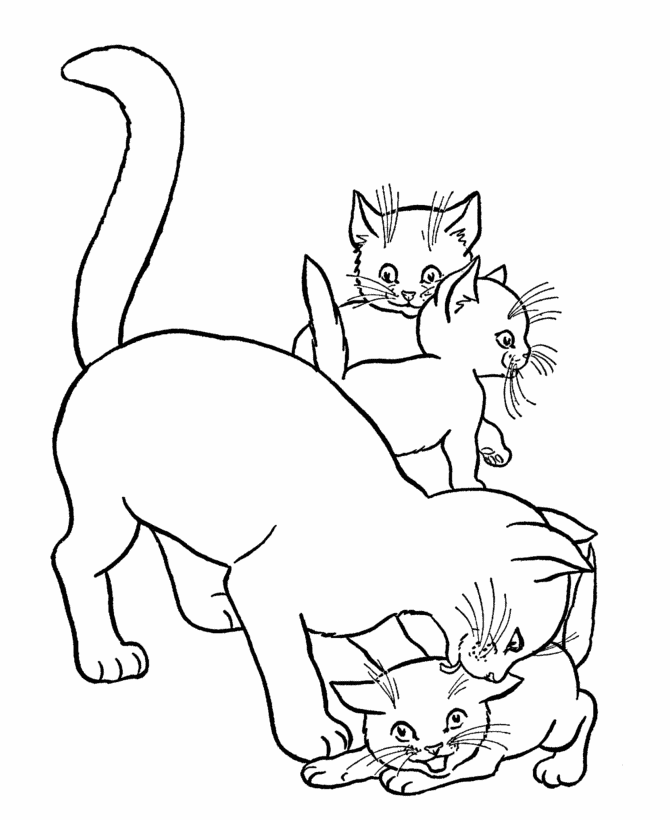 Mommy Cat And Kids Animal S2523 Coloring Page