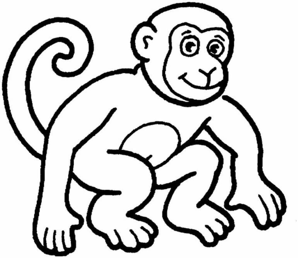 Monkey  Animal77f7 Coloring Page