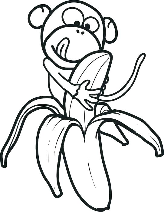 Monkey Banana Fruit