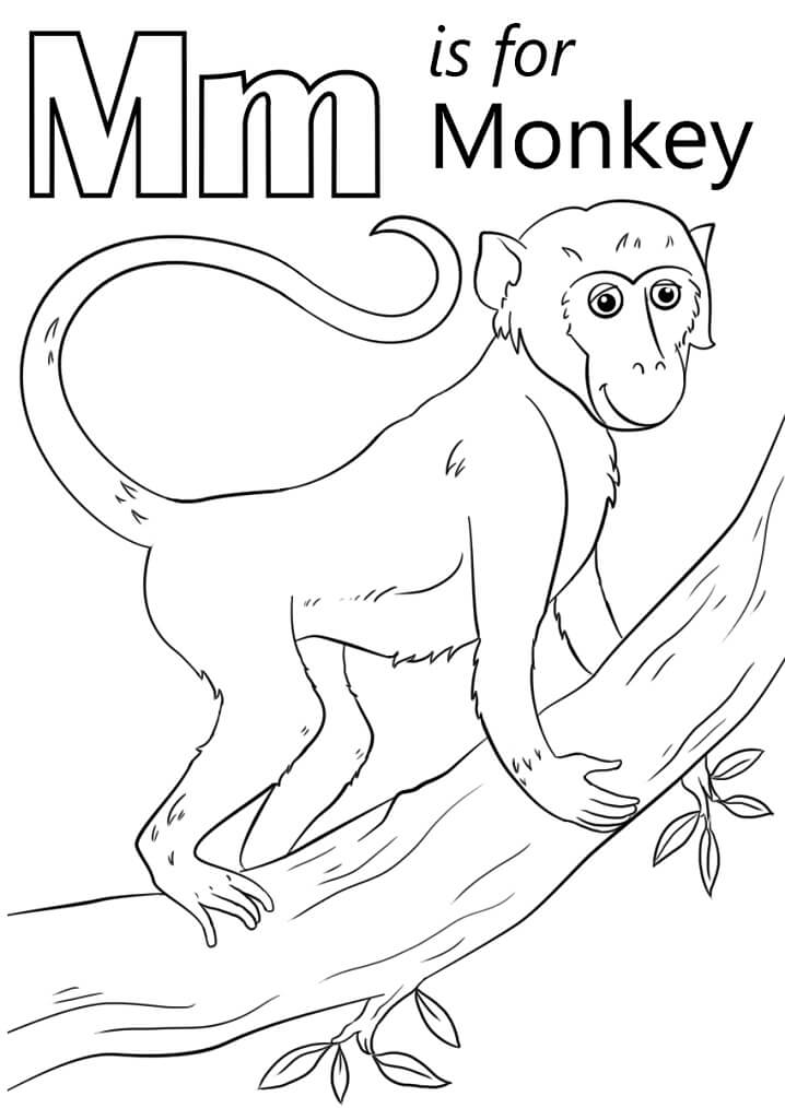 Monkey Letter M Coloring Page