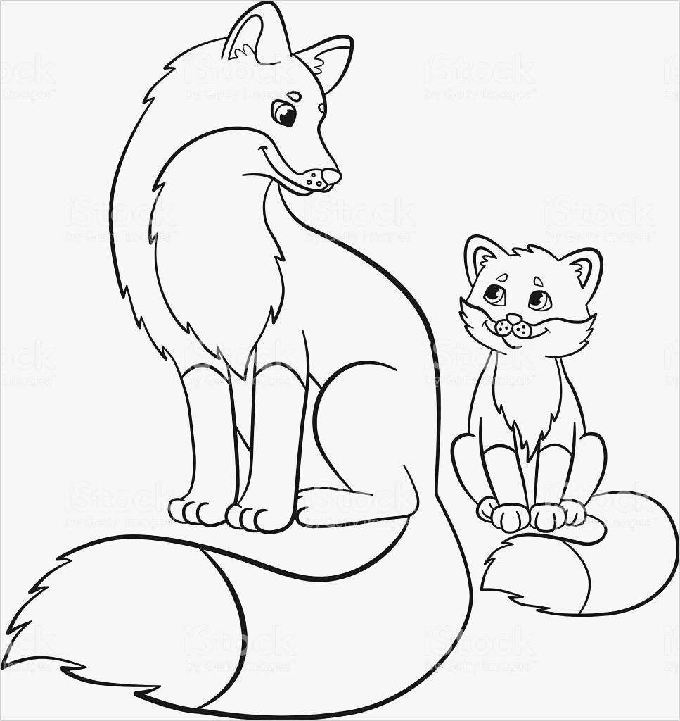 Mother And Baby Fox Coloring Page