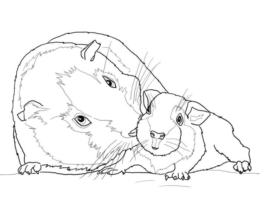 Mother and Baby Guinea Pig Coloring Page