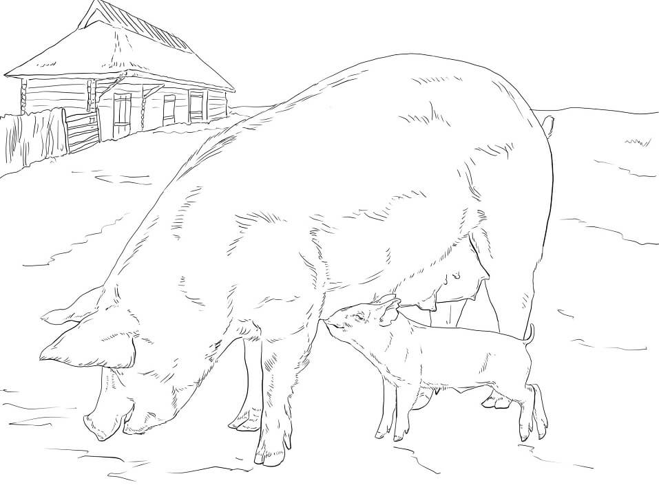Mother and Baby Pig Coloring Page