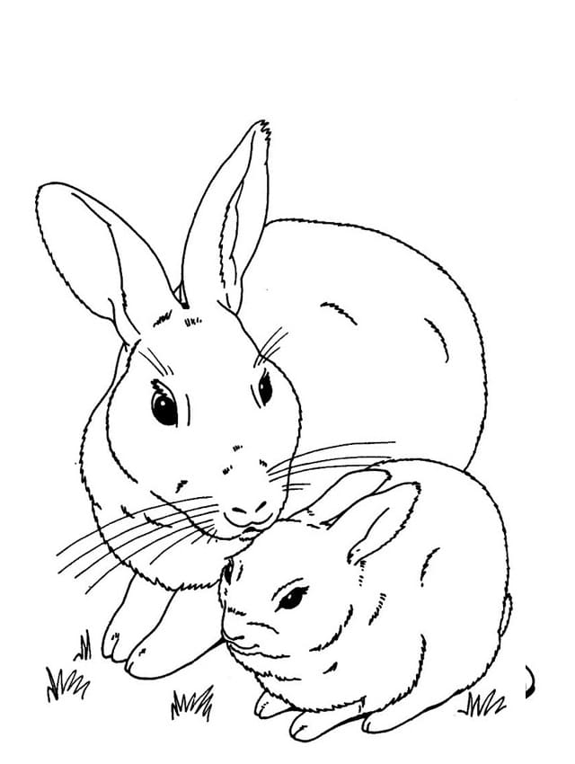 Mother and Baby Rabbit Coloring Page