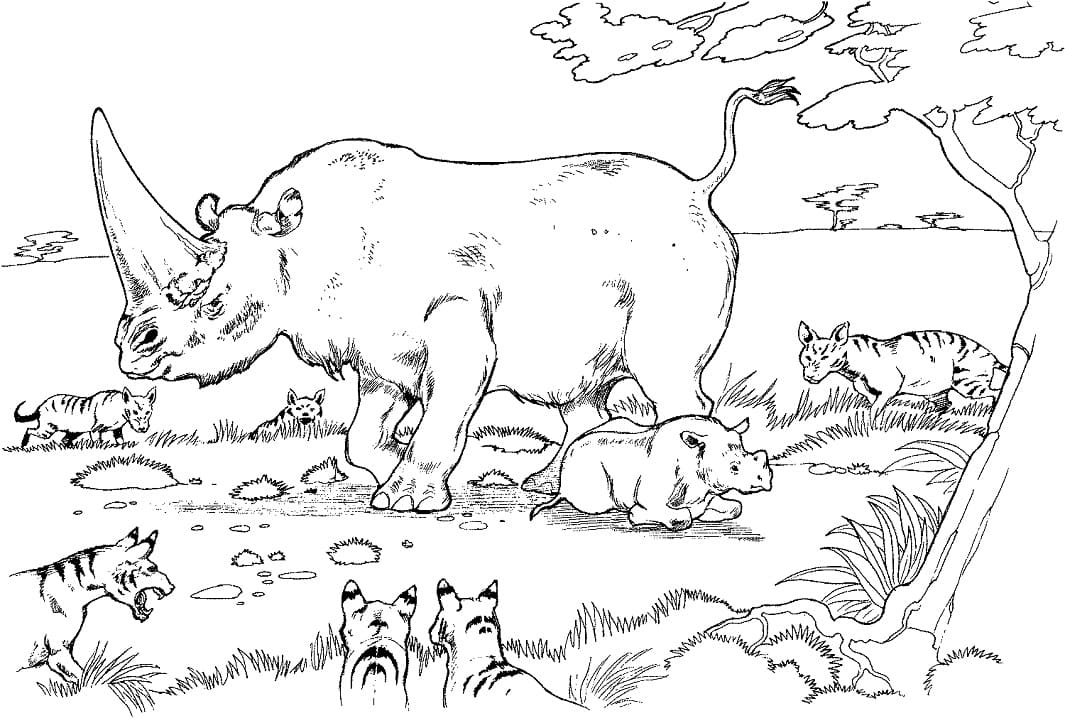 Mother and Baby Rhino Coloring Page