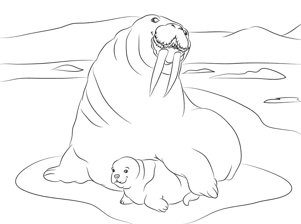 Mother and Baby Walrus