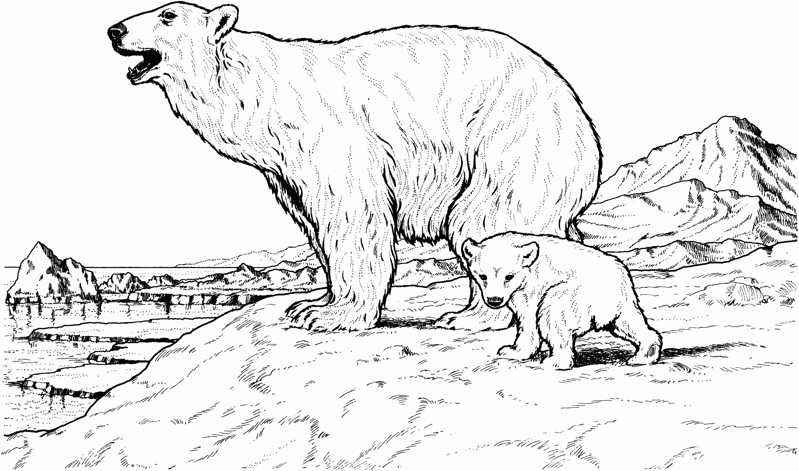 Mother Bear And Baby Coloring Page