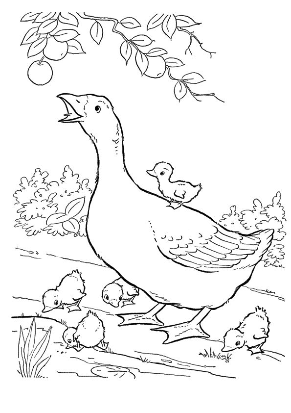 Mother Goose With Goslings