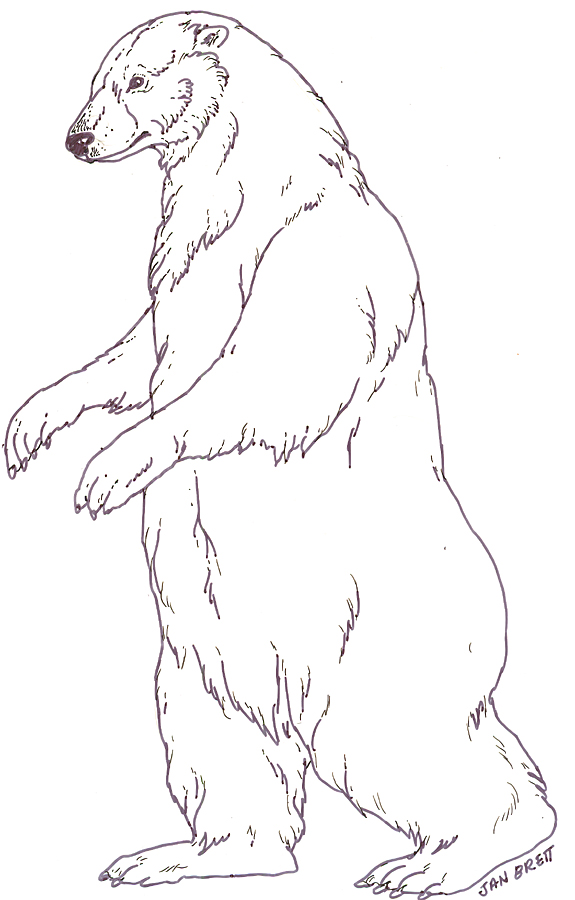 Mural Tsb Polar Mother Bear By Jan Brett Coloring Page