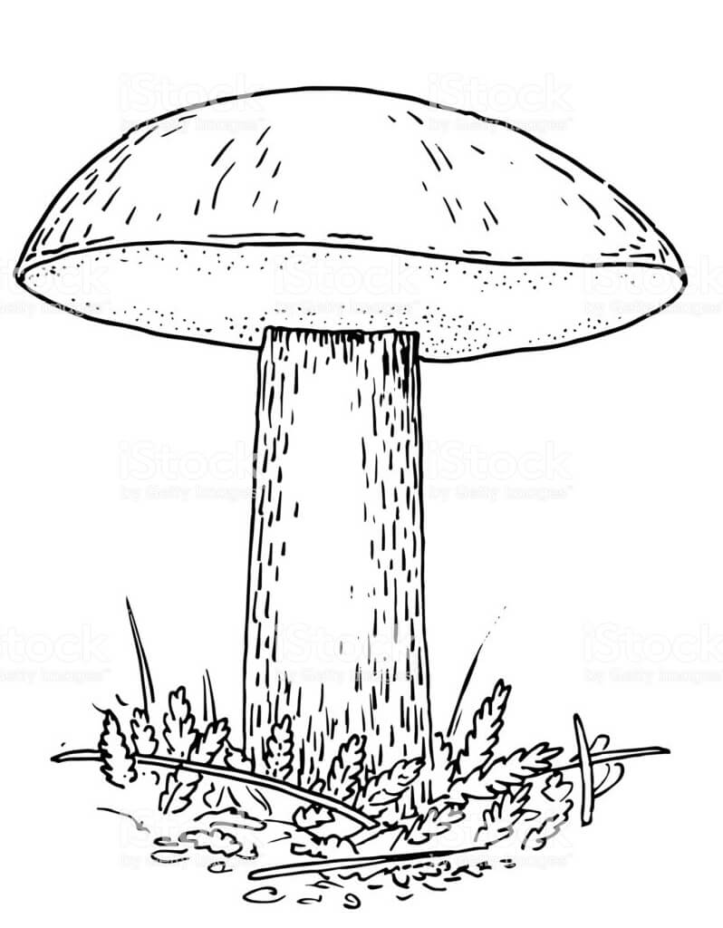 Mushroom For You Coloring Page