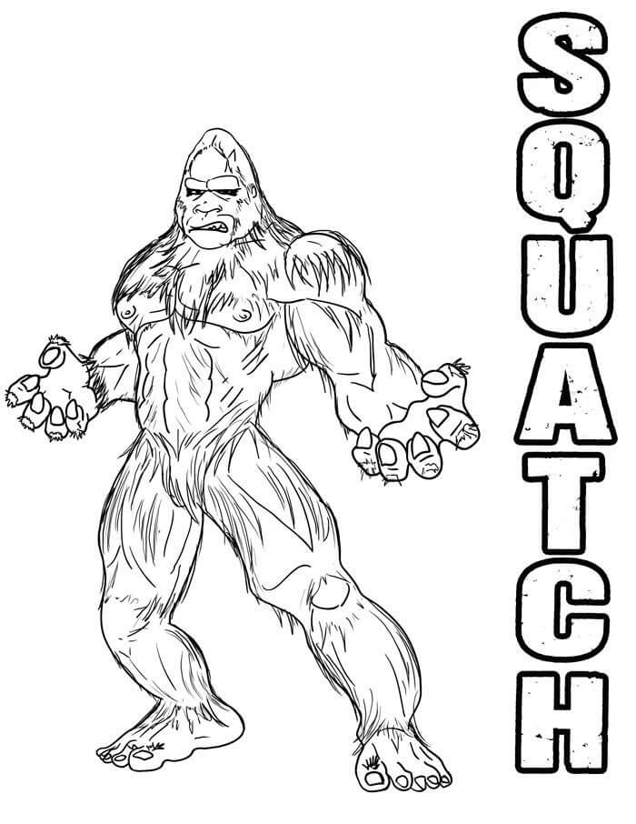 Mysterious Bigfoot Squatch