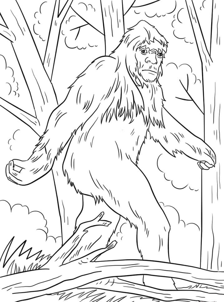 Mysterious Bigfoot For Free Online