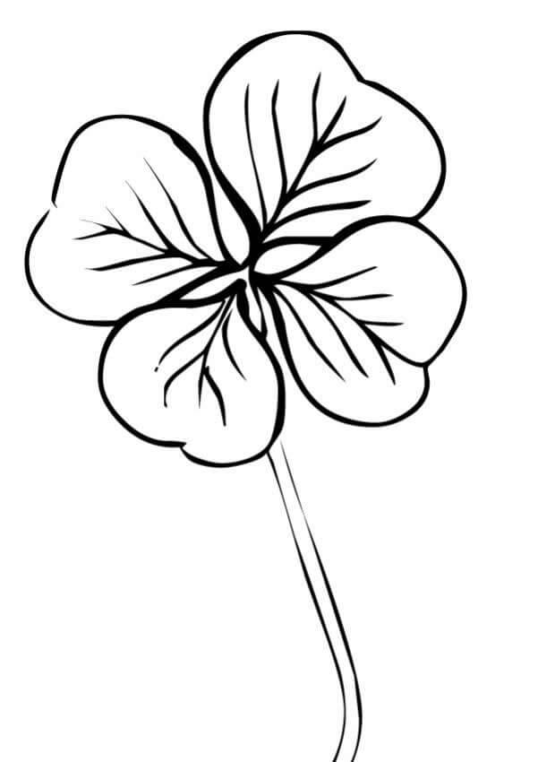 Nature Four Leaf Clover Coloring Page