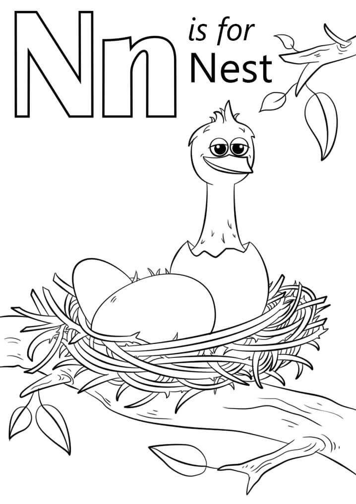 Nest Letter N Coloring Page