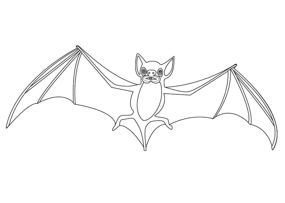 Nice Normal Bat Coloring Page