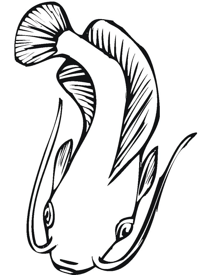 Normal Catfish Coloring Page