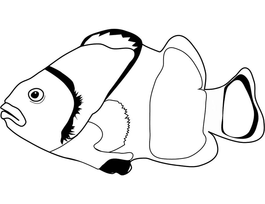 Normal Clownfish Coloring Page