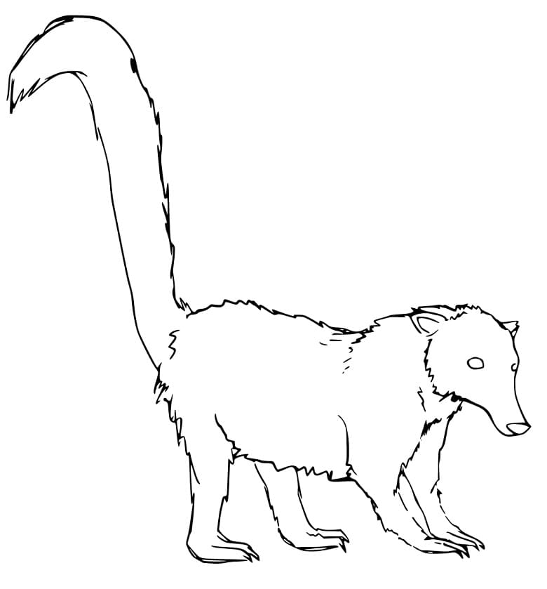 Normal Coati Coloring Page