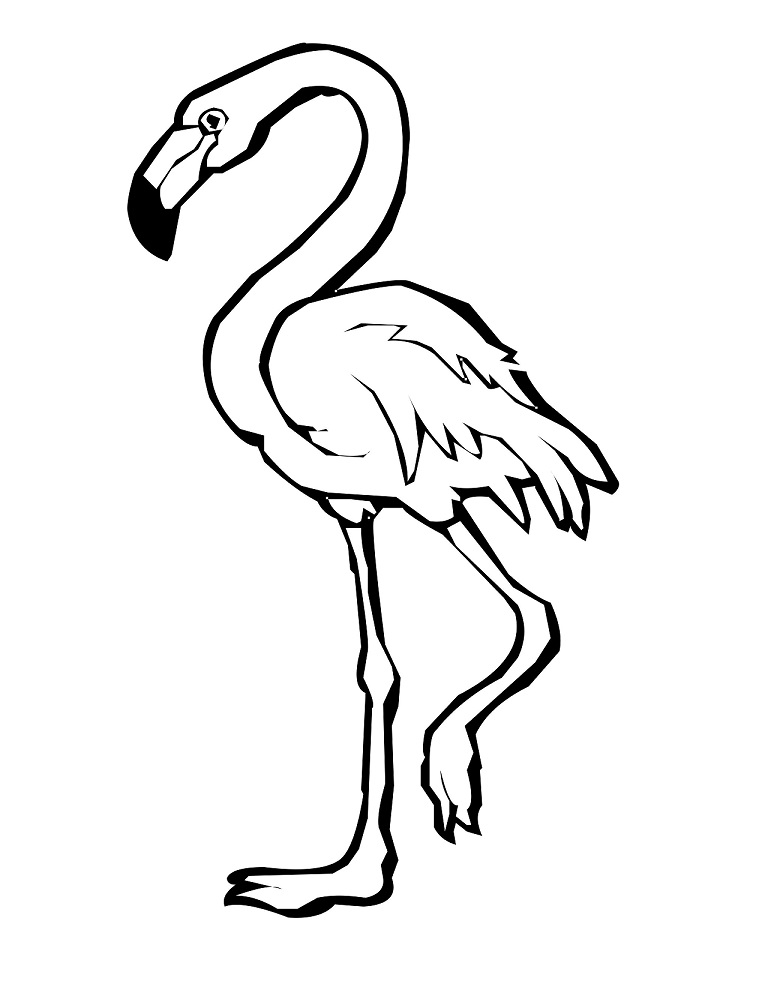Normal Flamingo