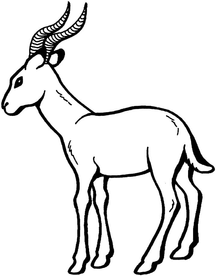 Normal Gazelle Coloring Page