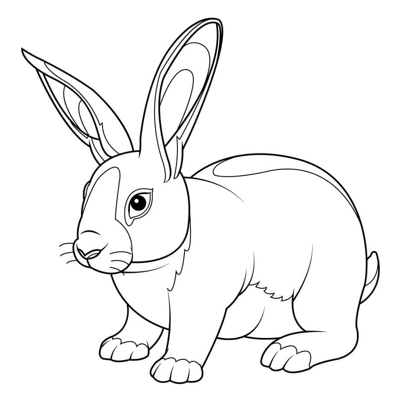 Normal Rabbit Coloring Page