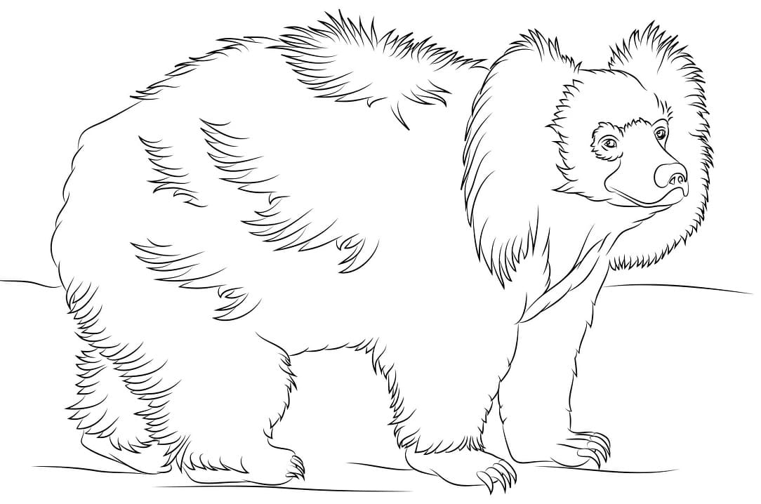 Normal Sloth Bear Coloring Page