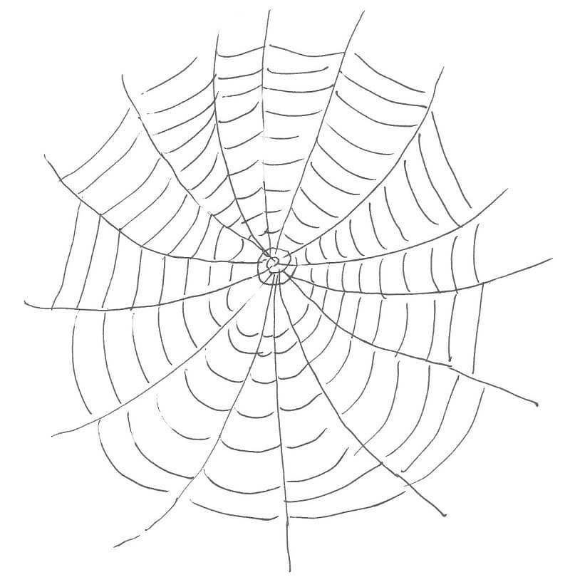 Normal Spider Web