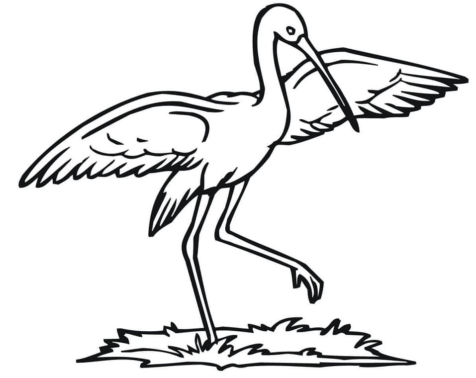 Normal Stork