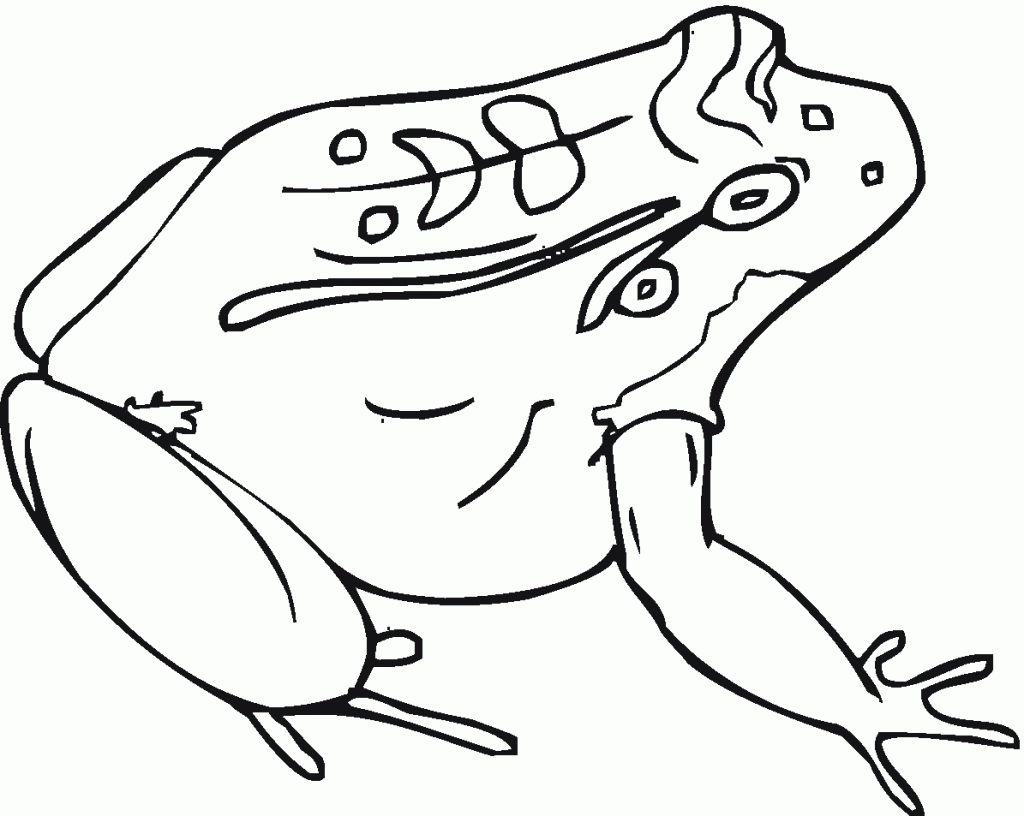 Normal Toad Coloring Page