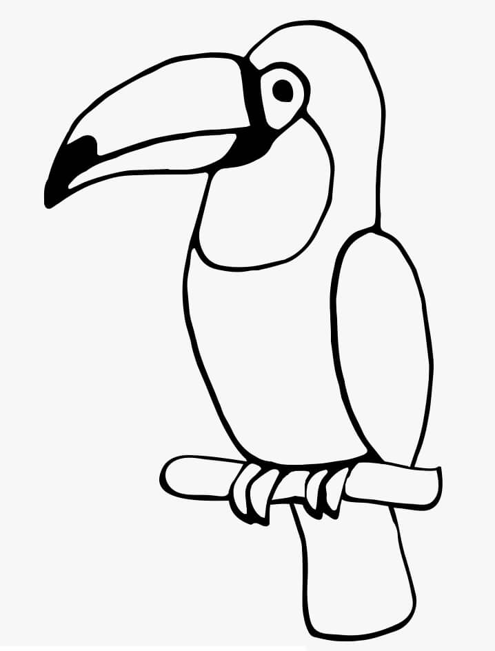 Normal Toucan Bird Coloring Page