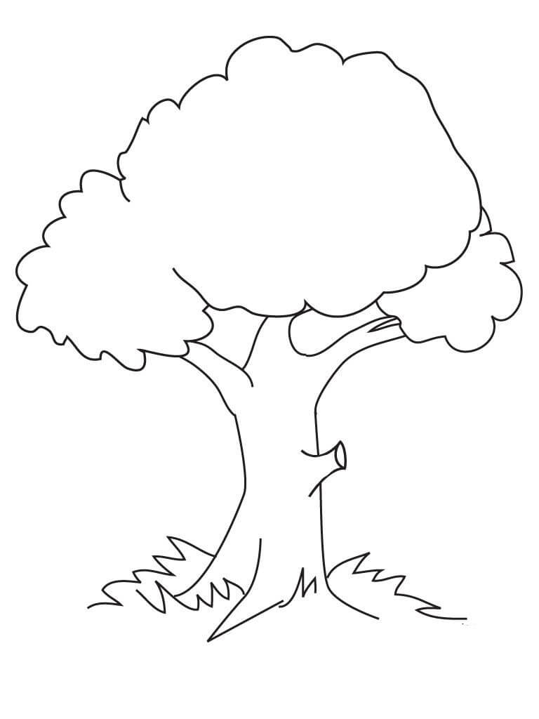 Normal Tree Coloring Page