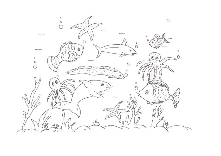 Ocean Animalss For Kids