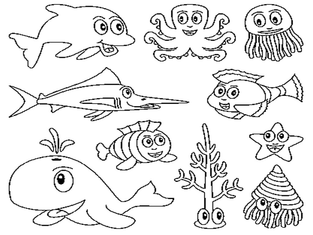 Ocean Animalss