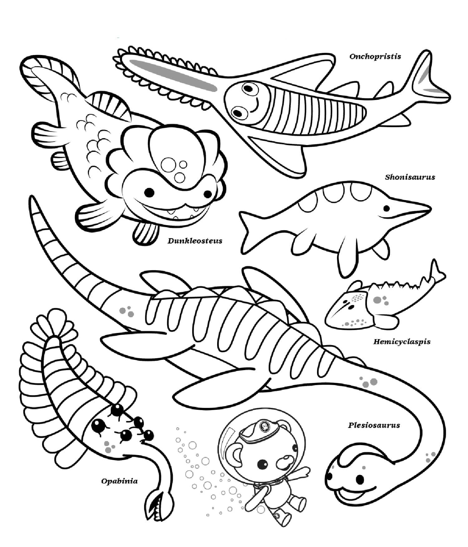 Octonauts Ocean Creatures