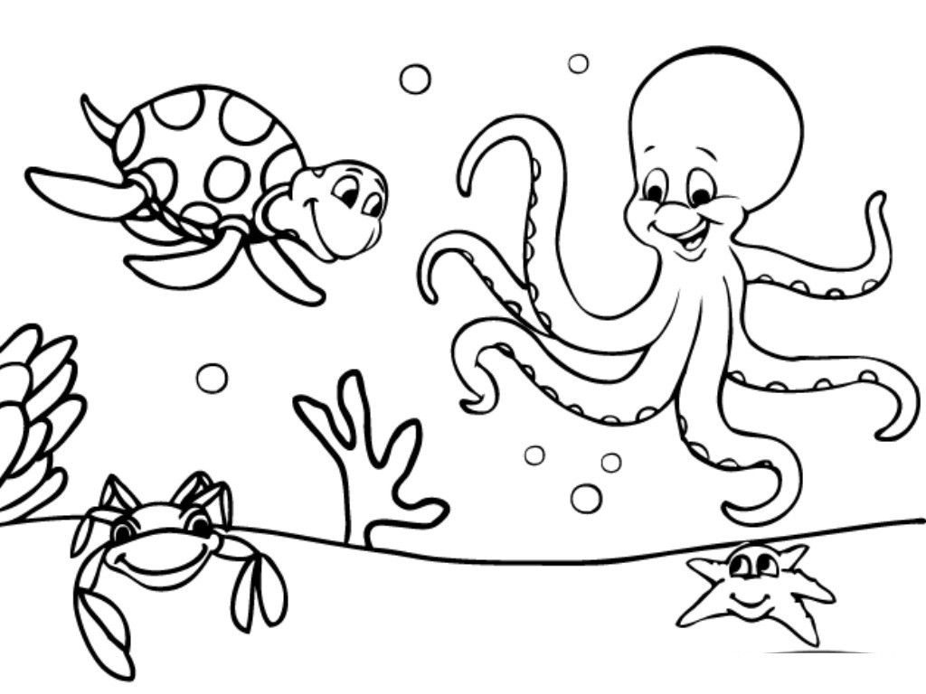 Octopus and Turtle – Oceans