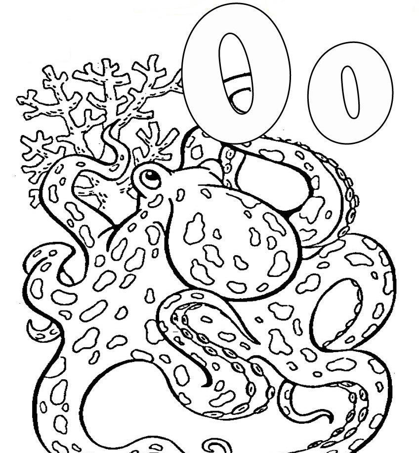 Octopus Animal Alphabet S0617 Coloring Page