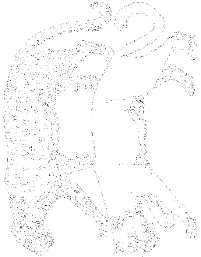 On Noahs Ark Coloring Mural Leopard By Jan Brett Coloring Page