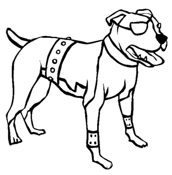 One-Eyed Pitbull Coloring Page