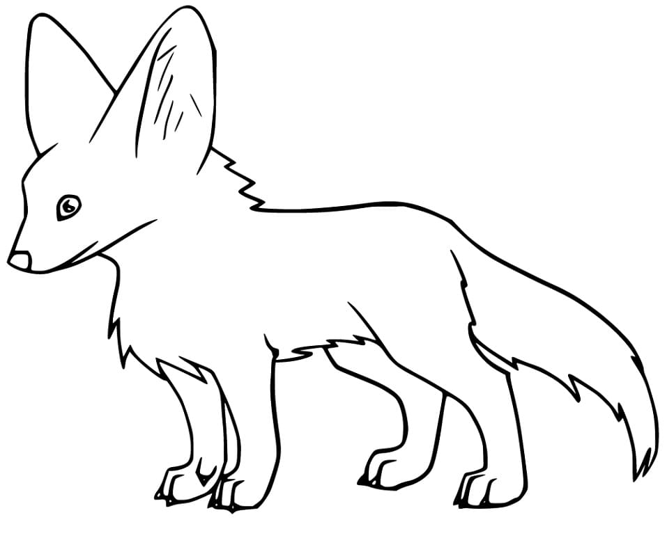 One Fennec Fox Coloring Page
